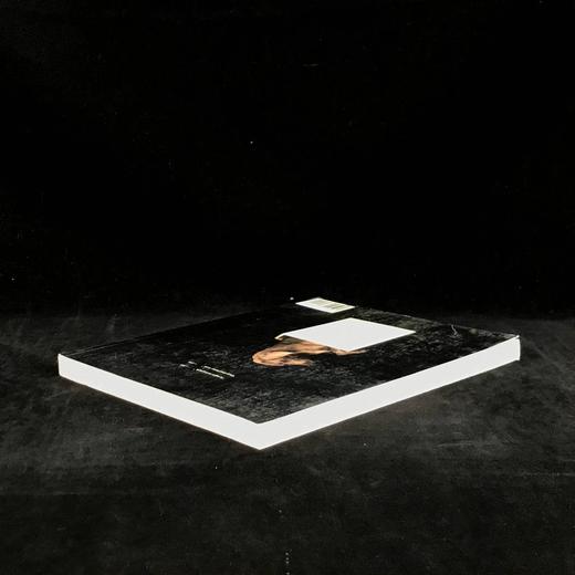 美国现代艺术家魏格曼作品集 约百幅插图 平装16开 商品图2