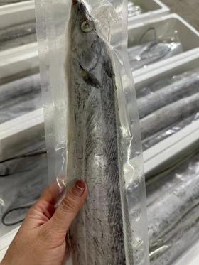 【大连特产，正宗渤海刀送礼有面子】真空单冻渤海刀鱼，真正的渤海刀鱼，肉质鲜香细嫩，特别特别好吃，东三省包邮，省外补差价