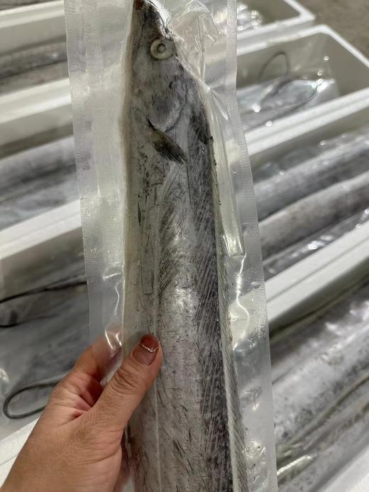 【大连特产，正宗渤海刀送礼有面子】真空单冻渤海刀鱼，真正的渤海刀鱼，肉质鲜香细嫩，特别特别好吃，东三省包邮，省外补差价 商品图0