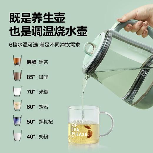 北鼎（Buydeem） 养生壶家用K165【KLJJ15.0】 商品图2