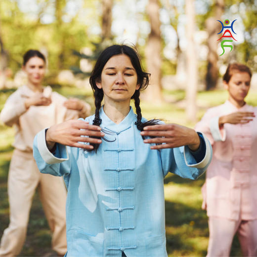 [D1]站桩 Zhan Zhuang 一种传统内在修养基本功法 Gateway to the Internal（双语EN）- Meghdad Abdi 易正 商品图0