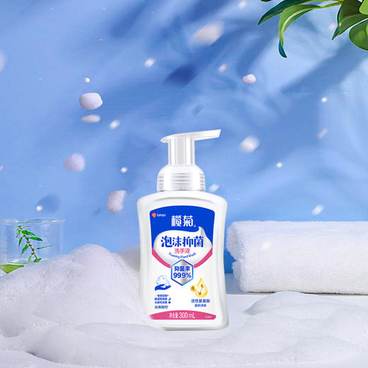 榄菊 泡沫洗手液300ml*2 商品图2