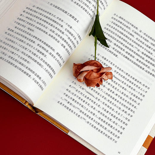 大哲学家 佛陀与龙树 雅斯贝尔斯著作集 精装 哲学思想研究 商品图12