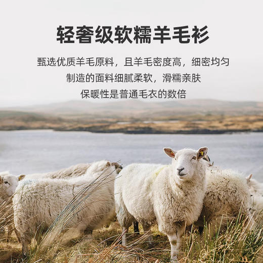 【100%羊毛】【新款DPS】大依优型大码男装羊毛衫100%绵羊毛针织衫打底线衣套头纯色上衣男士胖子 商品图1