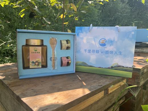 《10级-周承伟代言》 小蜂桶 五味菁华蜜 礼盒装蜂蜜 商品图4