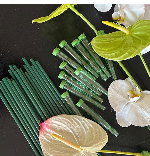 【琳琅】加长洋兰管带杆/ 鲜花蝴蝶兰嫁接/保鲜保水管 商品图0