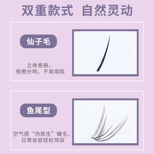 everbab 单簇假睫毛/镊子/胶水 商品图2