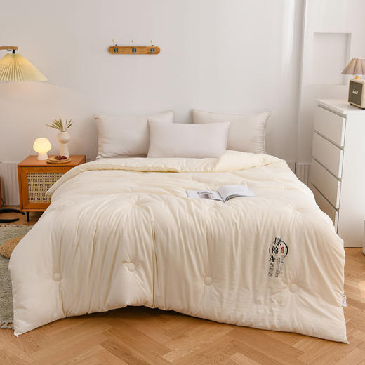 【A类原棉大豆被，给你带来温暖和舒适！】A类原棉大豆被 加厚春秋被大豆纤维被芯冬被被子轻巧却不可小觑，温暖度抵得过千层棉花的厚重，让你享受温暖的拥抱lm 商品图2