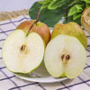 【秒杀8.5元/斤】蜂糖蜜梨 重约1斤【2日内提货】 商品缩略图6