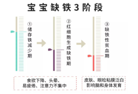宝宝钙铁锌科普