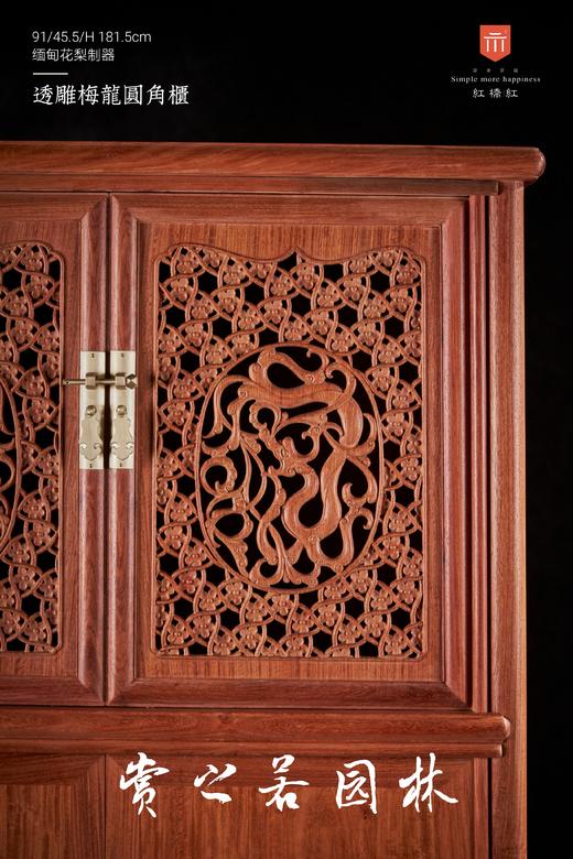 红桥红  家具严选  缅甸花梨（大果紫檀）  【182 透雕梅龙 圆角柜】 商品图3