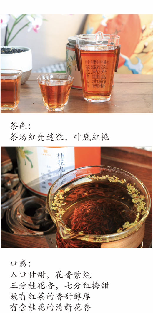 江南名茶桂花九曲红梅120g 商品图9