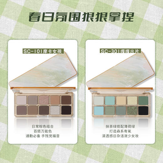 诗蒂娅【春日十色眼影盘】国货品牌眼影  爆品眼影盘  超高颜值 商品图2
