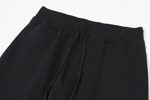 马球 秋季新款 内加薄绒刺绣大马标 运动长裤卫裤 PT-1150 商品图7