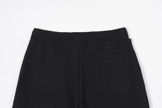 马球 秋季新款 内加薄绒刺绣大马标 运动长裤卫裤 PT-1150 商品图13