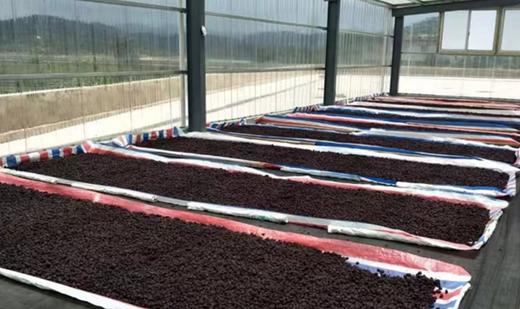 杞冠严选 | 福建归零农场 杨梅蜜饯 零添加 无公害 原味/冰糖两个口味 商品图4