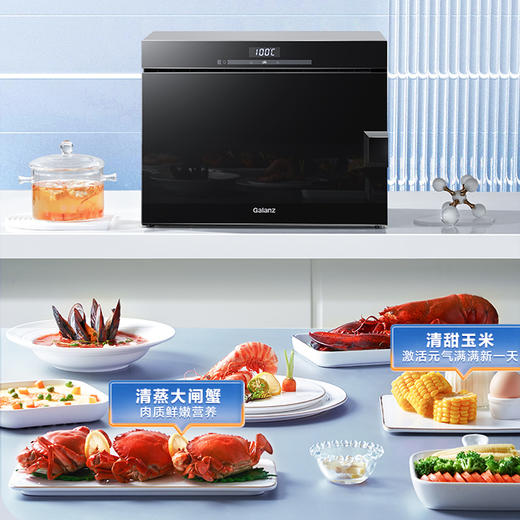 【领券】格兰仕电蒸炉家用蒸箱 22升多功能蒸汽炉 营养蒸DZ22T-P50 商品图5