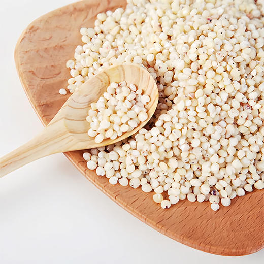 【静宁馆】静宁高粱米   500g*2袋 商品图2