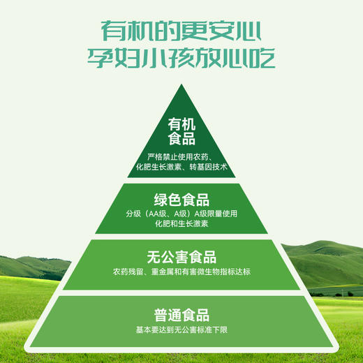 有机原切牛腩块  500g/袋 商品图8