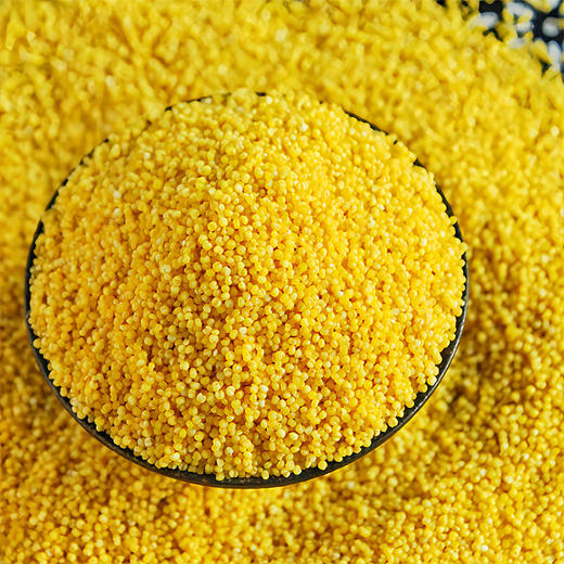 【静宁馆】静宁米脂小米盖装  2.5kg/袋 商品图7