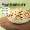 【满299减210】百草味南瓜子 100g坚果炒货干果南瓜籽零食  商品缩略图4