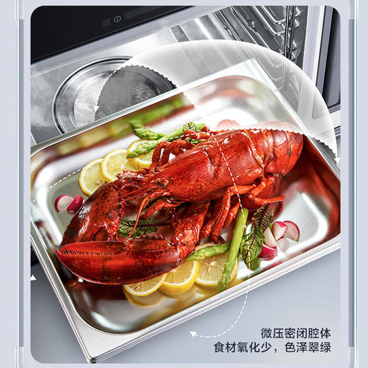 【领券】格兰仕电蒸炉家用蒸箱 22升多功能蒸汽炉 营养蒸DZ22T-P50 商品图3