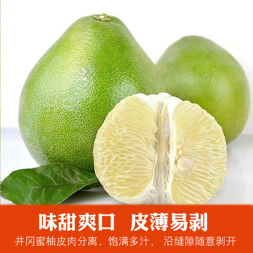 井冈蜜柚8斤（彩箱4-6个） 商品图4
