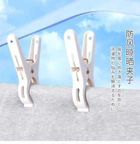 丸景小夹子10入IV
