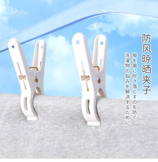 丸景小夹子10入IV 商品图0