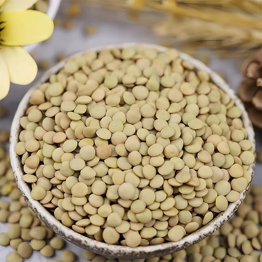 【静宁馆】静宁扁豆500g*2包邮 商品图6