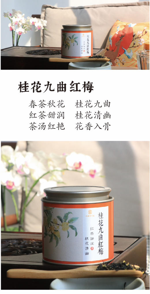 江南名茶桂花九曲红梅120g 商品图8