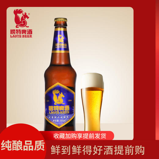 青岛崂特啤酒  金鳌啤酒500ml*12瓶 商品图1