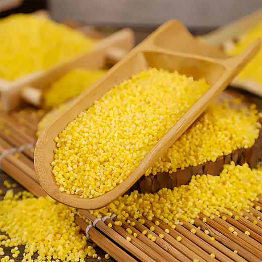 【静宁馆】静宁米脂小米   500g*2袋 商品图5