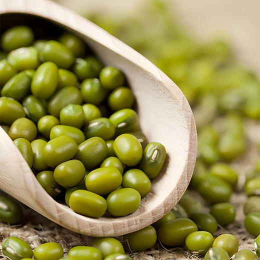 【静宁馆】静宁绿豆   500g*2袋 商品图5