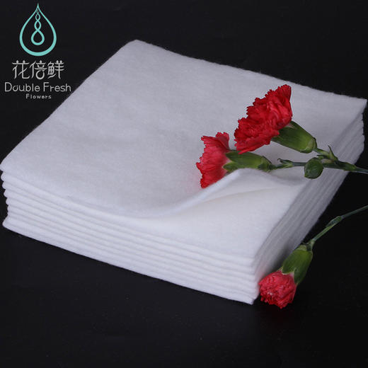 【琳琅】加厚款花倍鲜保水棉（30*30cm10片装/包） 商品图3