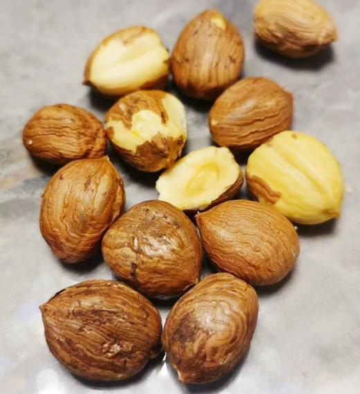 东北长白山原生态大榛子 商品图6