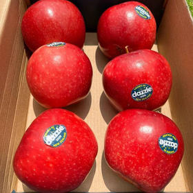 新西兰 丹烁苹果 新鲜当季 有机种植 脆甜可口 10个装/盒（约2.5斤）