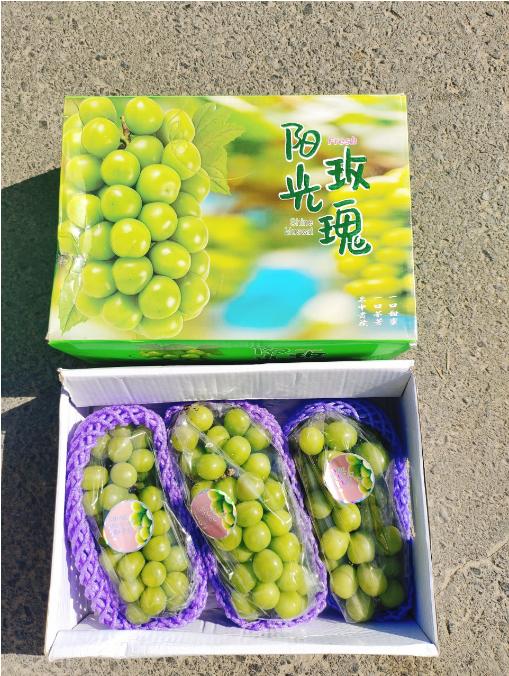 天地盖晴王礼盒 商品图2