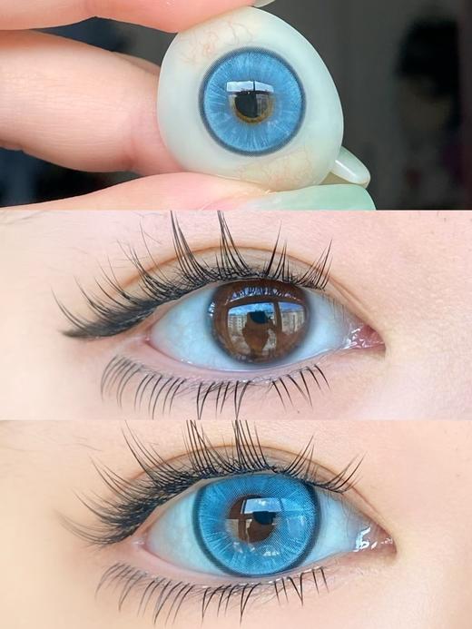 Sugarplum糖豆家-波士顿 商品图4