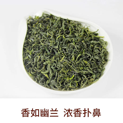 江南树 特选 深山春色绿茶 一级 168g 商品图3