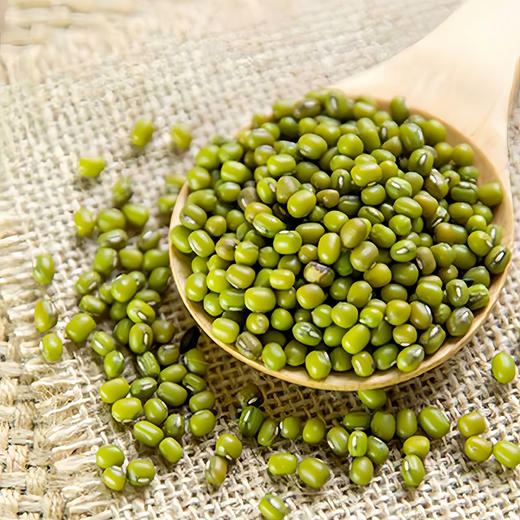 【静宁馆】静宁绿豆   500g*2袋 商品图4