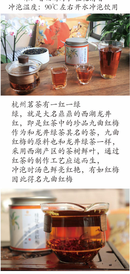 江南名茶桂花九曲红梅120g 商品图1