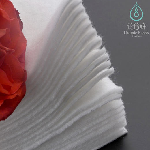 【琳琅】加厚款花倍鲜保水棉（30*30cm10片装/包） 商品图2