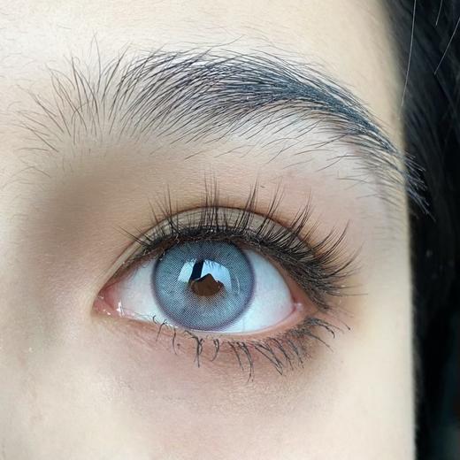 Ginomii半年抛品牌-AOV 狼灰（灰紫色） 商品图11