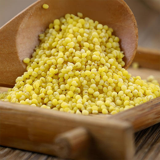 【静宁馆】静宁米脂小米农家小米  2.5kg/袋 商品图8