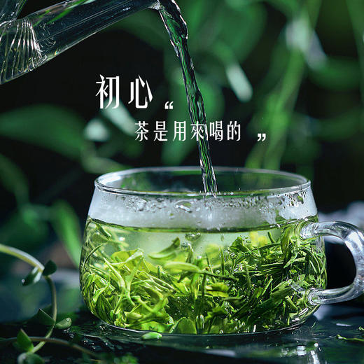 江南树 特选 深山春色绿茶 一级 168g 商品图1