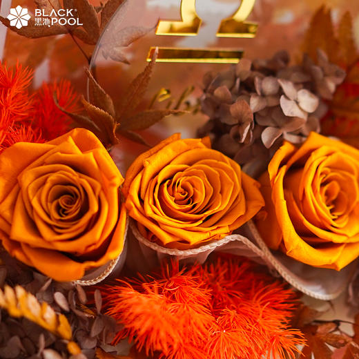 【(永生花)天秤座守护花】浪漫的人有自己的乌托邦 商品图2