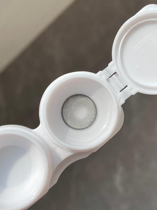 Sugarplum糖豆家-芝加哥 商品图1