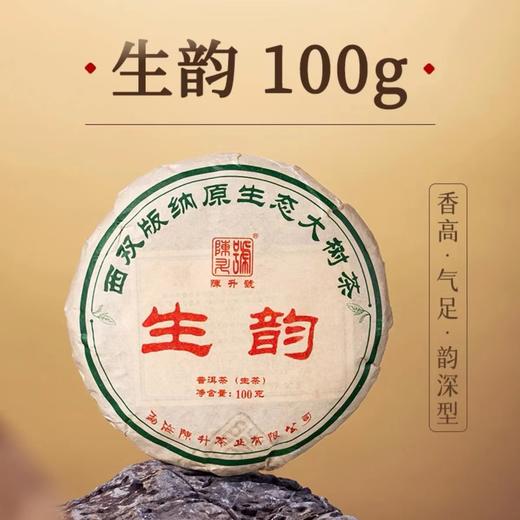 陈升号 2023年生韵100g（生茶） 商品图0