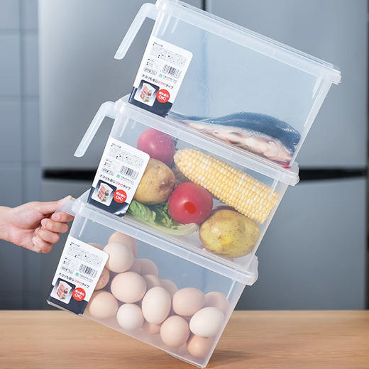 日本进口冰箱收纳盒套装食品级保鲜大号厨房水果蔬菜带手柄储物盒【不支持补差，非质量问题不退不换】S 商品图4